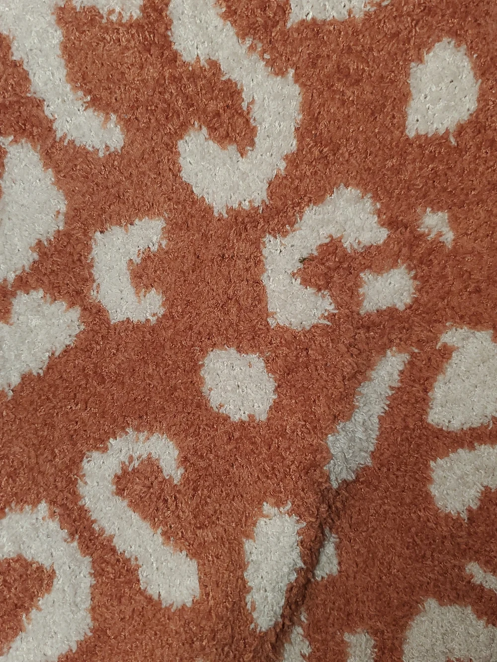 Women's Crewneck Leopard Sweater in Rust and Cream